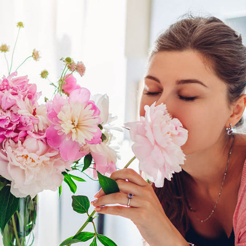 Milyen illata van az illatos virágboxnak?
